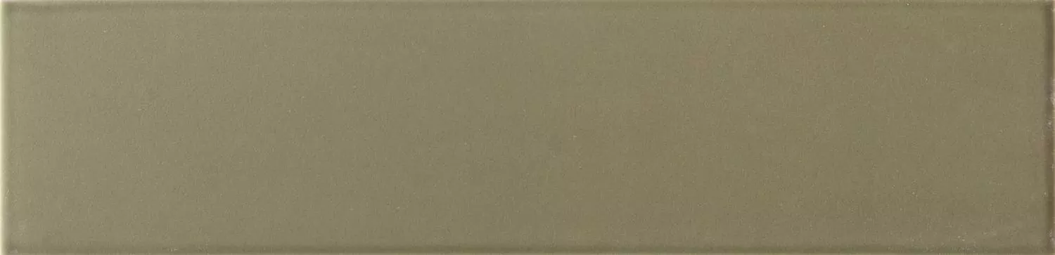 Lichen Matt 6x24.6